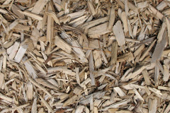 biomass boilers Llansadwrn